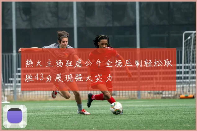 热火主场狂虐公牛全场压制轻松取胜43分展现强大实力