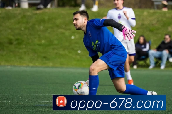 678体育平台生态图